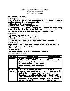 Giáo án Mầm non Lớp Mầm - Bài: Tìm hiểu con mèo