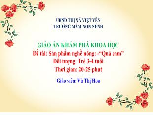 Giáo án Mầm non Lớp Mầm - Đề tài: Sản phẩm nghề nông Quả cam - Vũ Thị Hoa