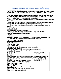 Giáo án Stem Mầm non Lớp Lá - Chủ đề: Khám phá về côn trùng