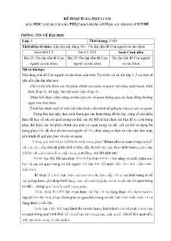 Kế hoạch bài dạy Stem 3 - Bài: Trang phục khám phá cơ quan trong cơ thể