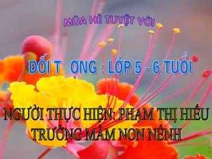 Bài giảng Mầm non Lớp Lá - Đề tài: Mùa hè tuyệt vời - Phạm Thị Hiếu