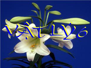 Bài giảng Vật lí 6 - Bài 19: Sự nở vì nhiệt của chất lỏng