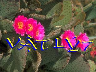 Bài giảng Vật lí 7 - Bài 5: Ảnh của 1 vật tạo bởi gương phẳng