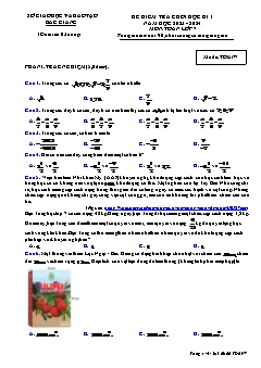 Đề kiểm tra cuối học kì I Toán 7 - Mã đề: TOAN7 - Năm học 2023-2024 - Sở GD&ĐT Bắc Giang (Có đáp án)
